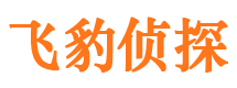 桂东市侦探公司